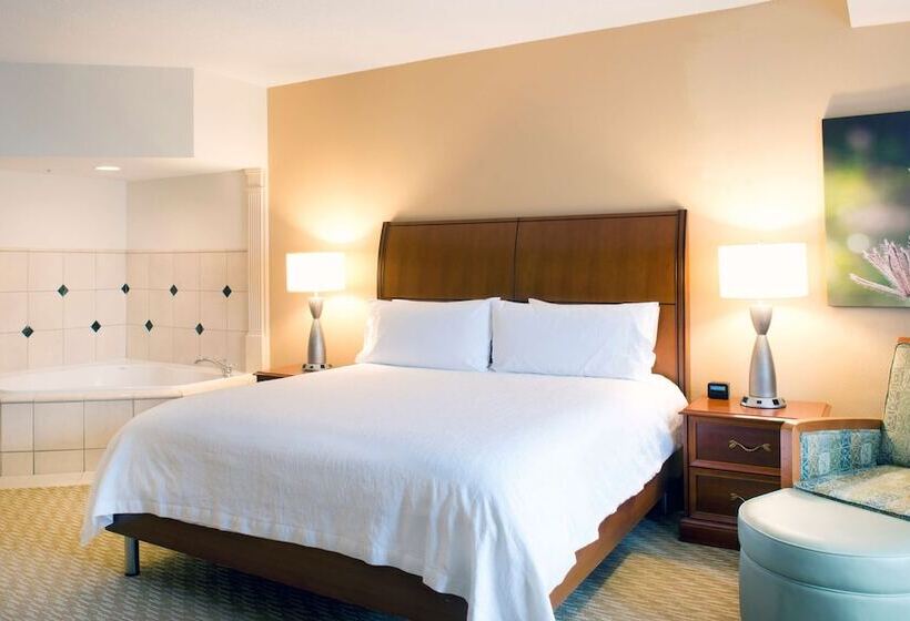 فندق Hilton Garden Inn Rock Hill