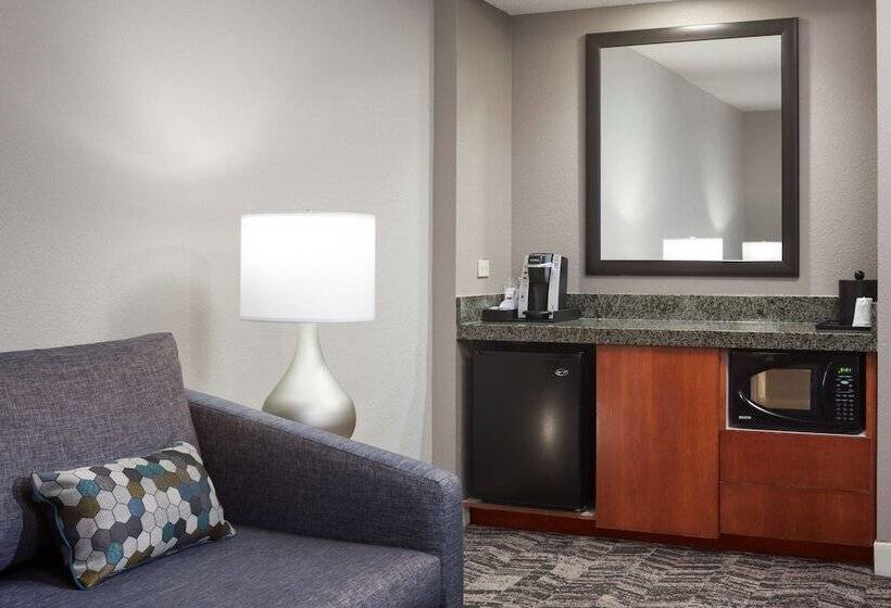 هتل Hilton Garden Inn Savannah Airport