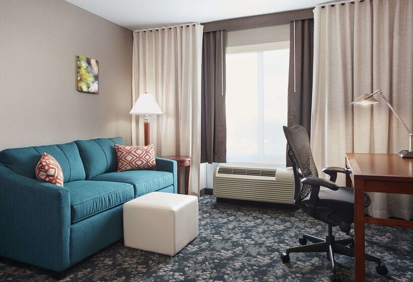 酒店 Hilton Garden Inn Schaumburg