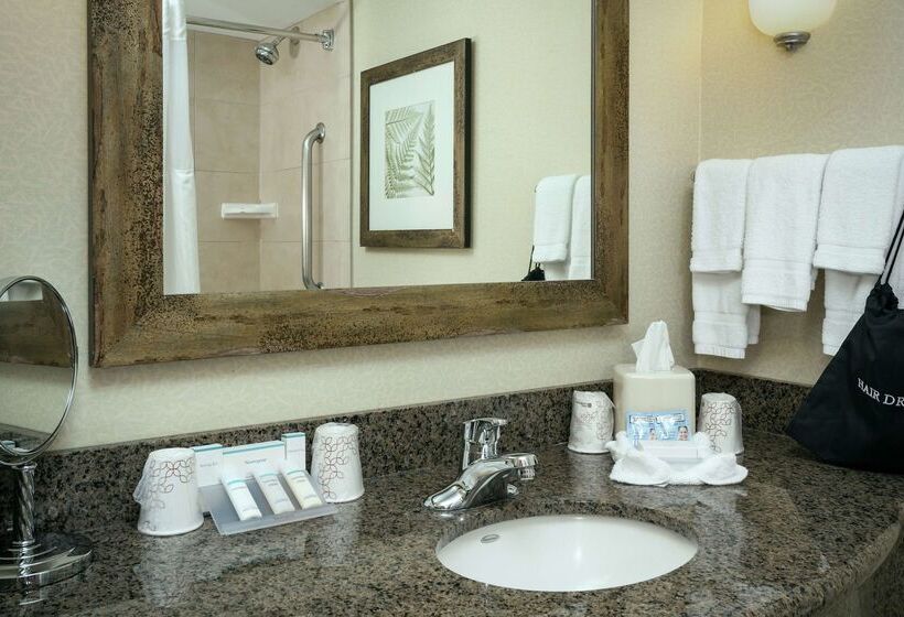 فندق Hilton Garden Inn Seattle  Issaquah