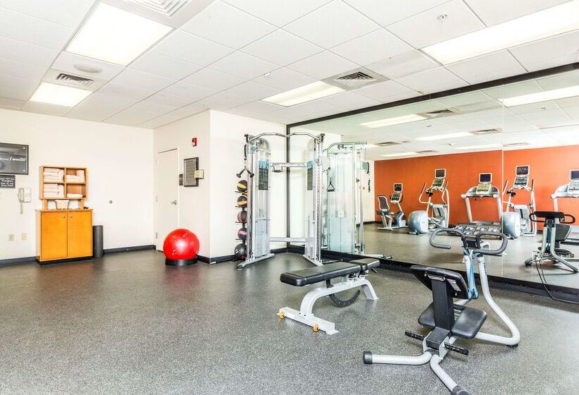 فندق Hilton Garden Inn St. George