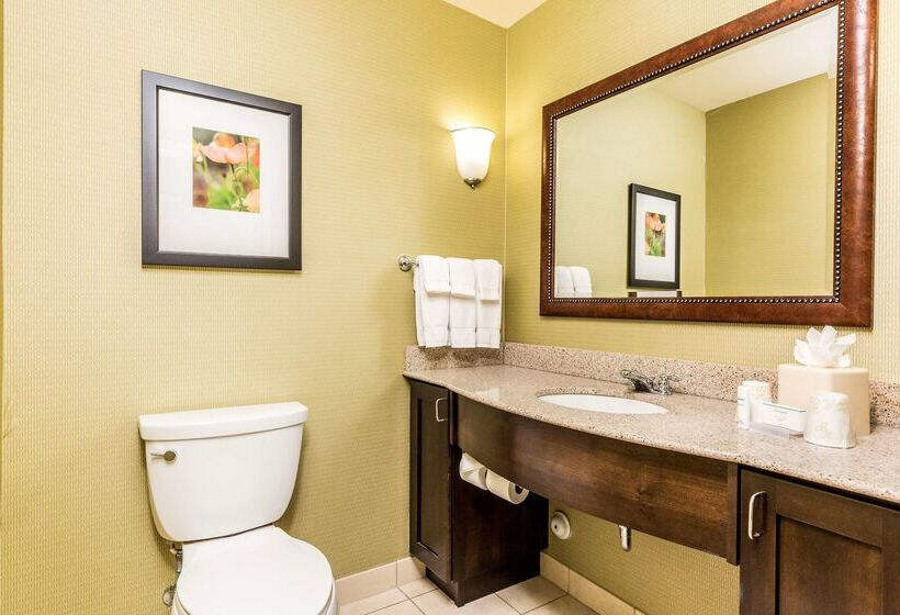 فندق Hilton Garden Inn St. George