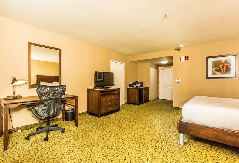 فندق Hilton Garden Inn St. George