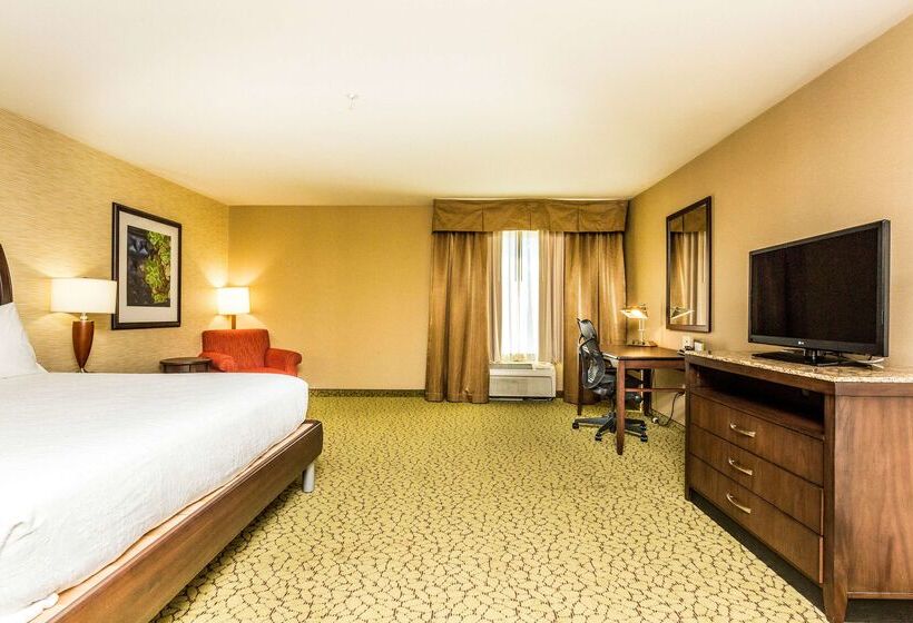 فندق Hilton Garden Inn St. George