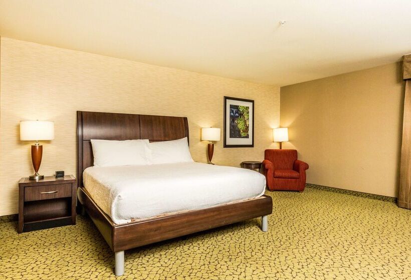 فندق Hilton Garden Inn St. George