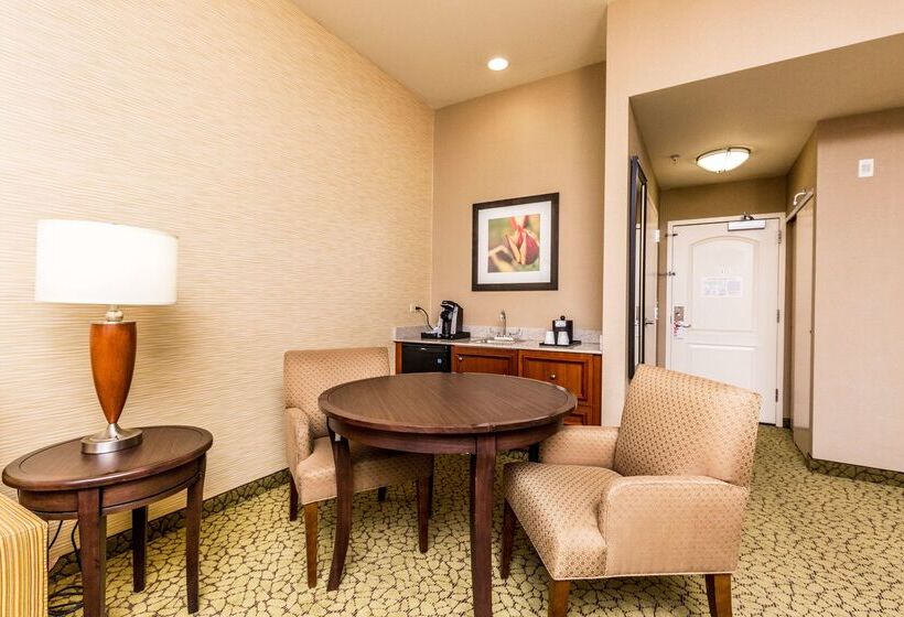 فندق Hilton Garden Inn St. George