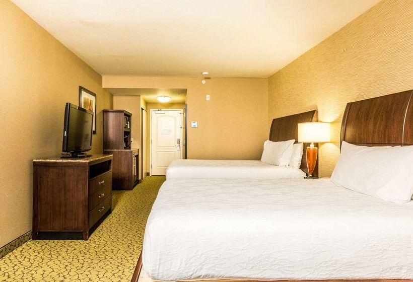 فندق Hilton Garden Inn St. George