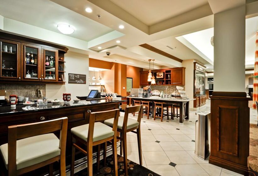 فندق Hilton Garden Inn Tampa Northwest/oldsmar