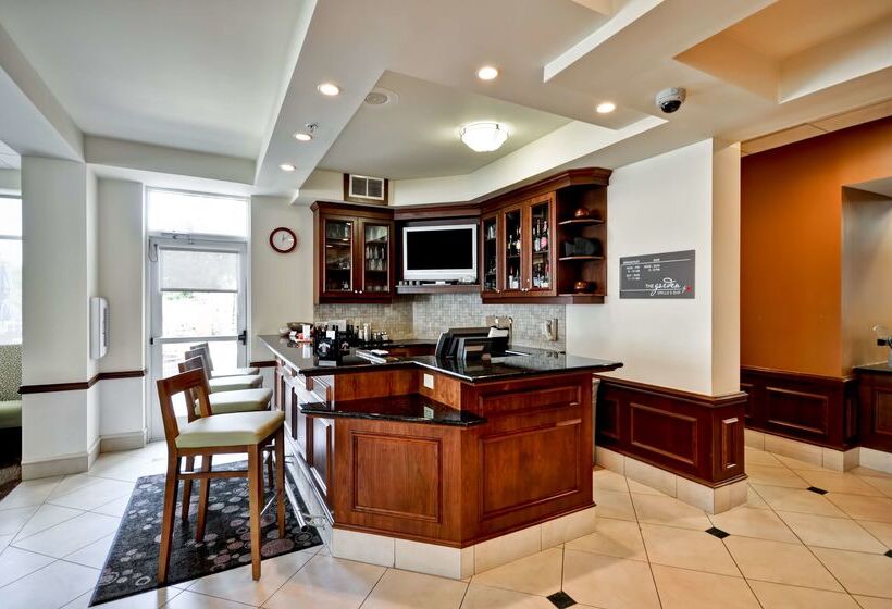 فندق Hilton Garden Inn Tampa Northwest/oldsmar