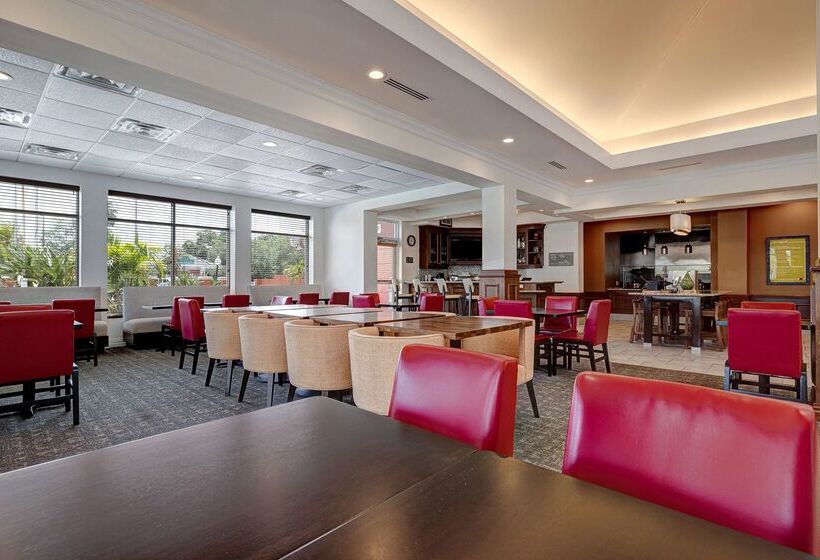 فندق Hilton Garden Inn Tampa Northwest/oldsmar