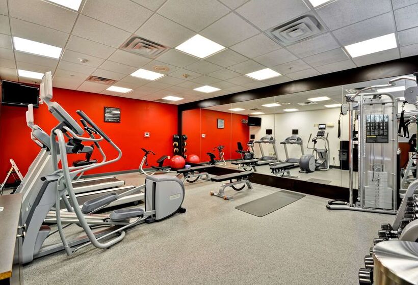 فندق Hilton Garden Inn Tampa Northwest/oldsmar