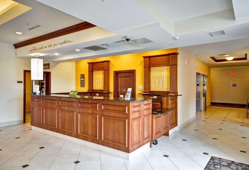 فندق Hilton Garden Inn Tampa Northwest/oldsmar