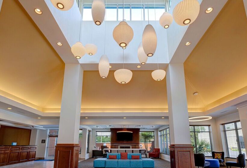 فندق Hilton Garden Inn Tampa Northwest/oldsmar