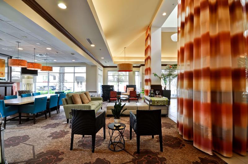 فندق Hilton Garden Inn Tampa Northwest/oldsmar