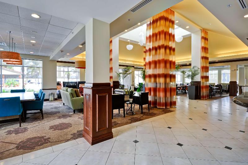 فندق Hilton Garden Inn Tampa Northwest/oldsmar