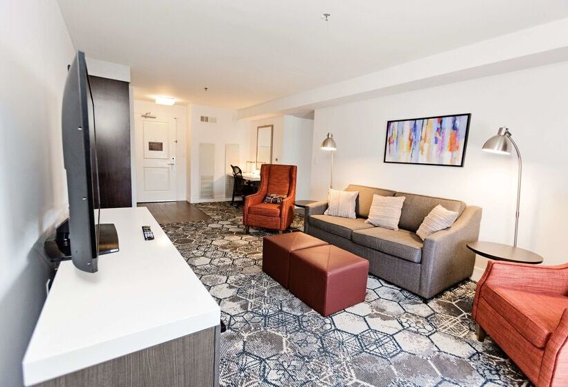 فندق Hilton Garden Inn Temple Medical Center