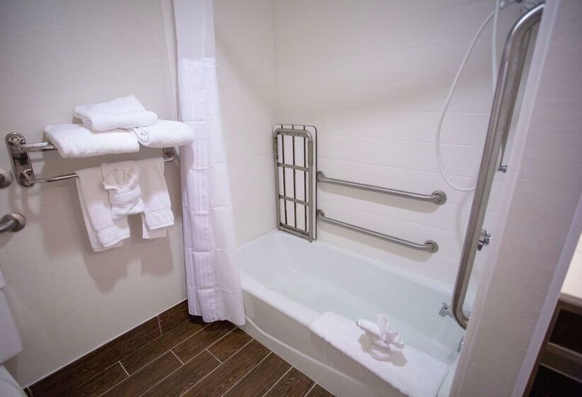 فندق Hilton Garden Inn Temple Medical Center