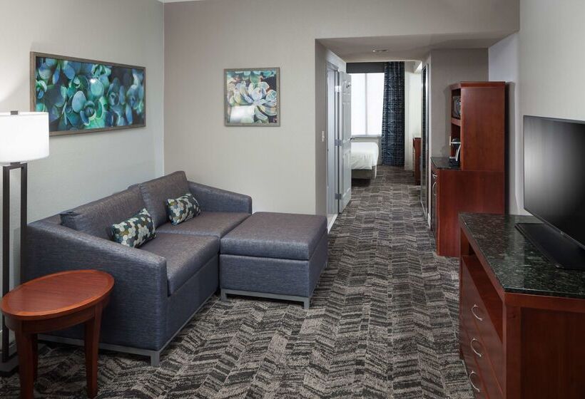 هتل Hilton Garden Inn Tucson Airport