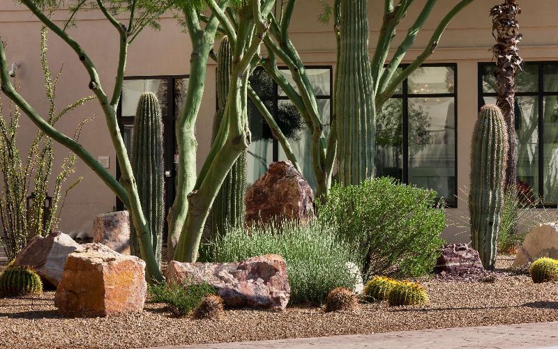 هتل Hilton Garden Inn Tucson Airport