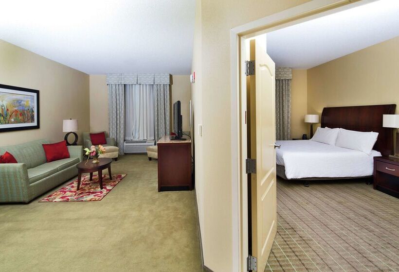 فندق Hilton Garden Inn Valdosta