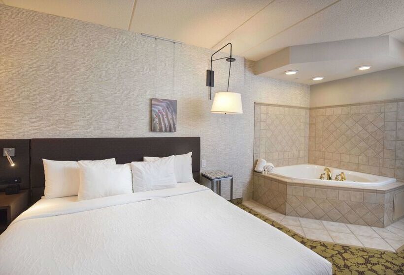 Отель Hilton Garden Inn Wisconsin Dells