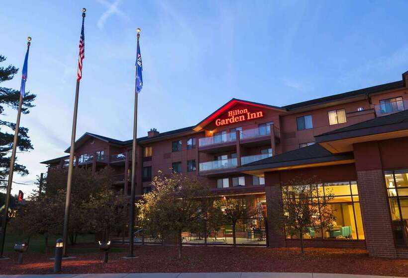 Отель Hilton Garden Inn Wisconsin Dells