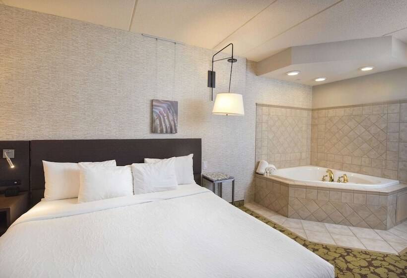 Отель Hilton Garden Inn Wisconsin Dells