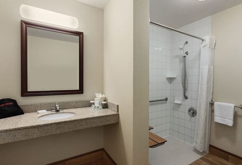 Отель Hilton Garden Inn Wisconsin Dells