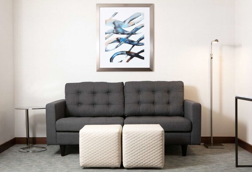 هتل Hilton Minneapolis/bloomington