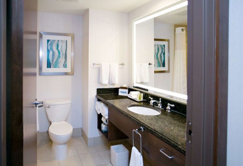 فندق Hilton Minneapolis/bloomington