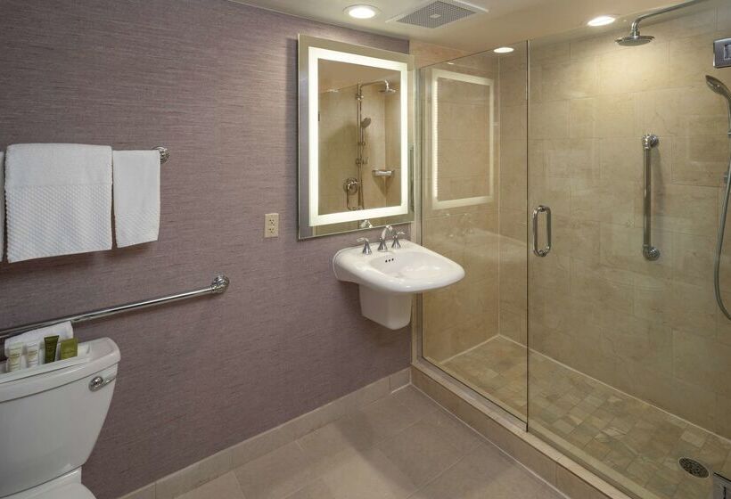 Hilton Washington Dc/rockville Hotel & Executive Meeting Ctr