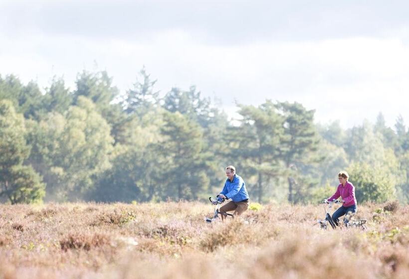 فندق Hof Van Putten