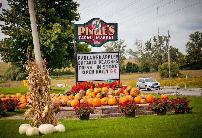 Holiday Inn Express Hotel & Suites Clarington   Bowmanville, An Ihg