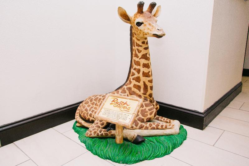 Holiday Inn Express Hotel & Suites Tampa Usf Busch Gardens, An Ihg