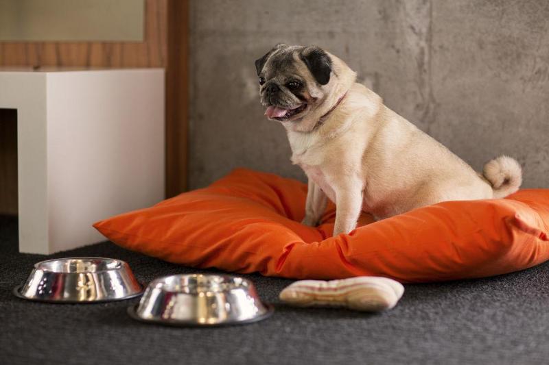 호텔 Hôtel Alt Quartier Dix30