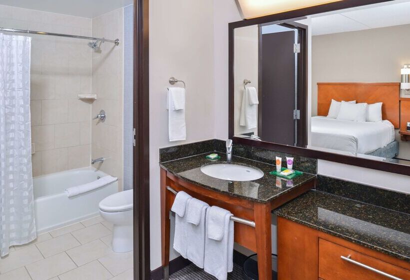 酒店 Hyatt Place Herndon Dulles Airport   East