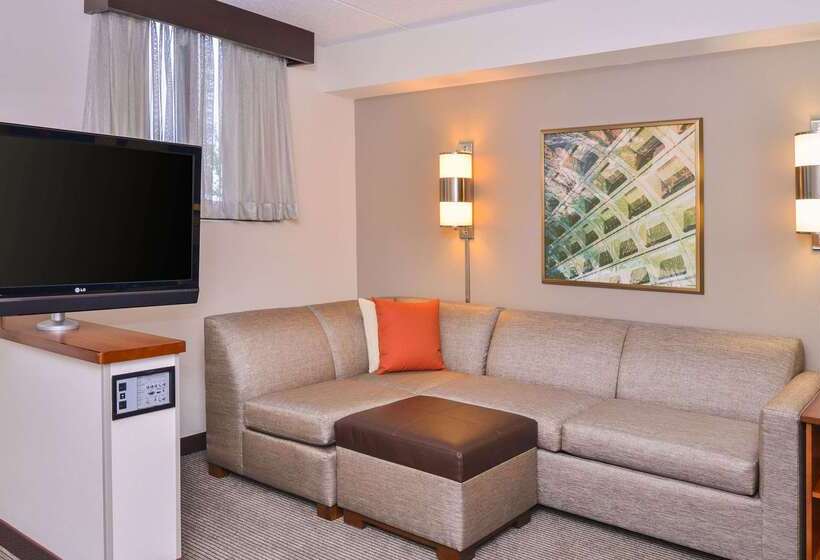 酒店 Hyatt Place Herndon Dulles Airport   East