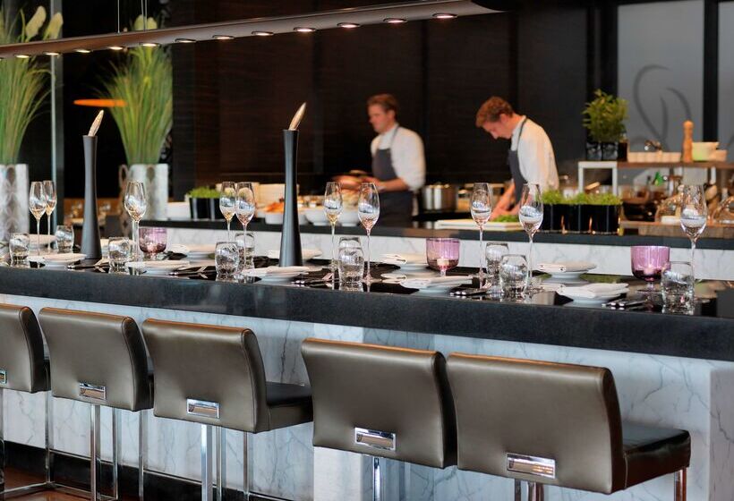 בית מלון כפרי Hyatt Regency Dusseldorf