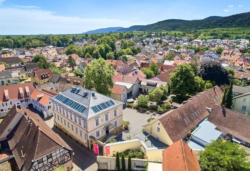 酒店 Ketschauer Hof