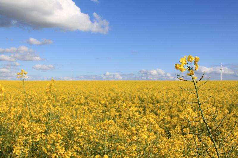 Land Gut Hotel Hermann