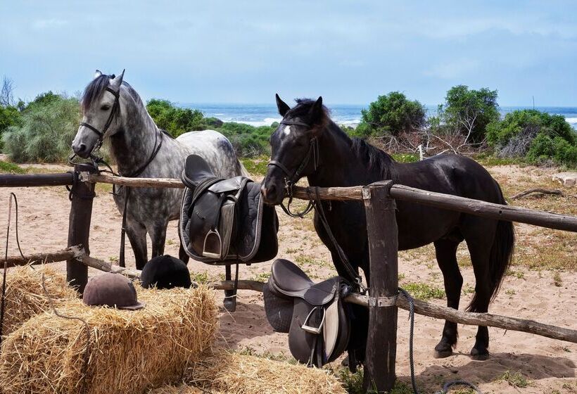 酒店 Mazagan Beach & Golf Resort