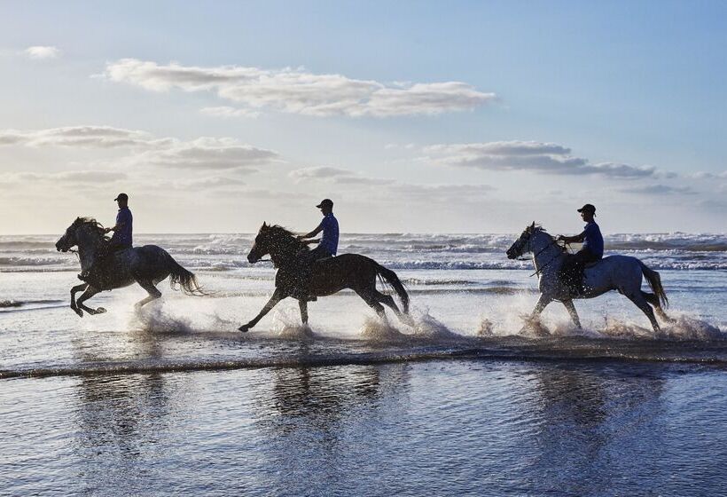 酒店 Mazagan Beach & Golf Resort