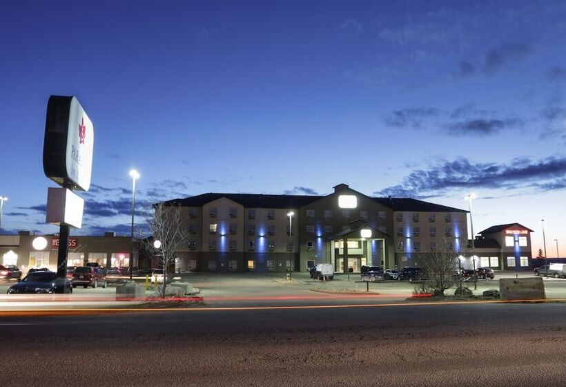 فندق Paradise Inn And Suites