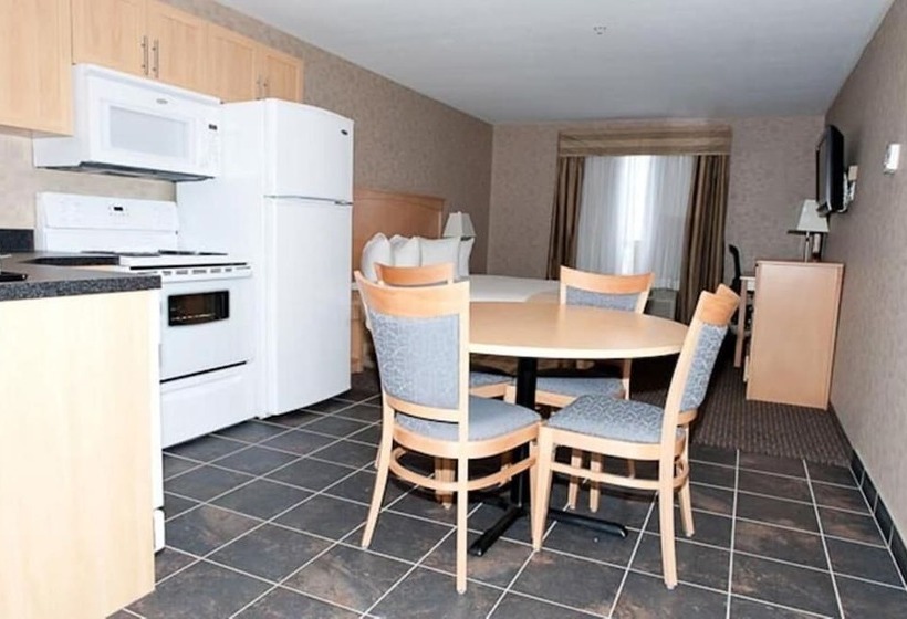 ホテル Paradise Inn And Suites