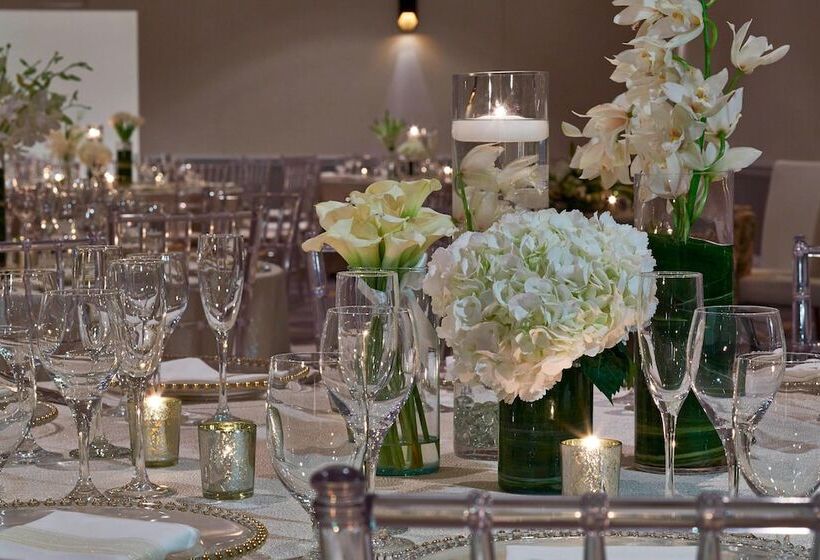 فندق Renaissance Providence Downtown