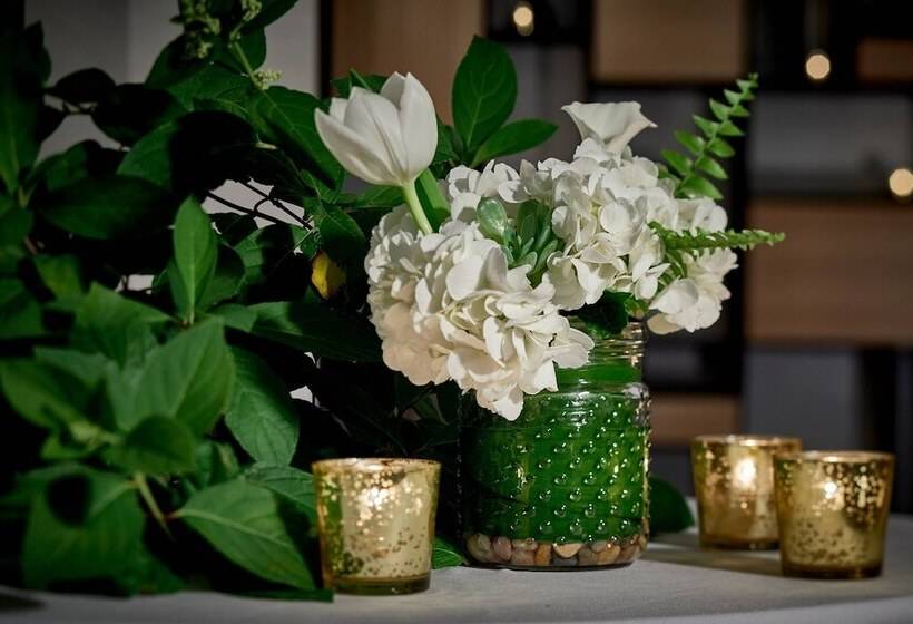 فندق Renaissance Providence Downtown