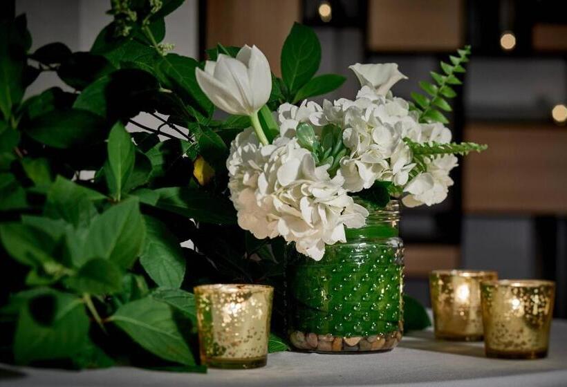 فندق Renaissance Providence Downtown