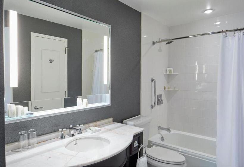 فندق Renaissance Providence Downtown