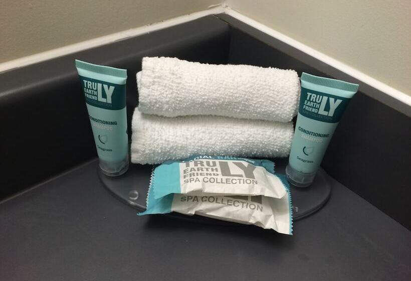 Отель Residence & Conference Centre Ottawa Downtown