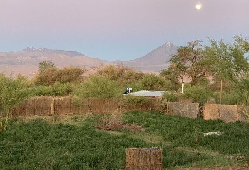 ホテル Sami Atacama